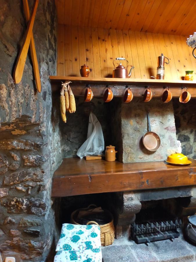 Cal Ferrer Habitatge Rural Βίλα Cava Εξωτερικό φωτογραφία