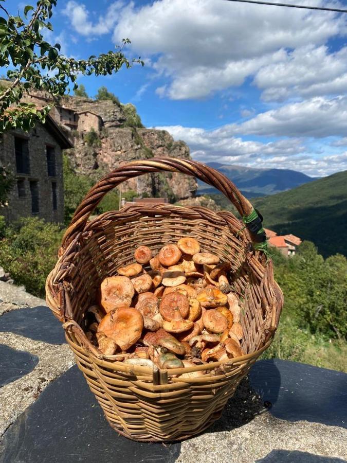 Cal Ferrer Habitatge Rural Βίλα Cava Εξωτερικό φωτογραφία