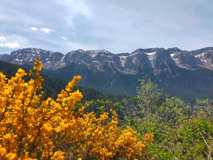 Cal Ferrer Habitatge Rural Βίλα Cava Εξωτερικό φωτογραφία