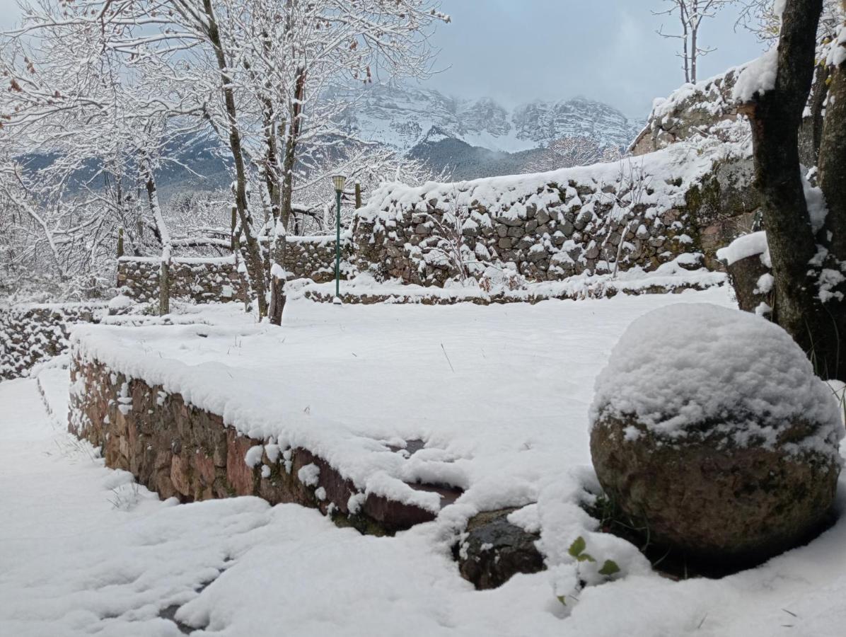 Cal Ferrer Habitatge Rural Βίλα Cava Εξωτερικό φωτογραφία